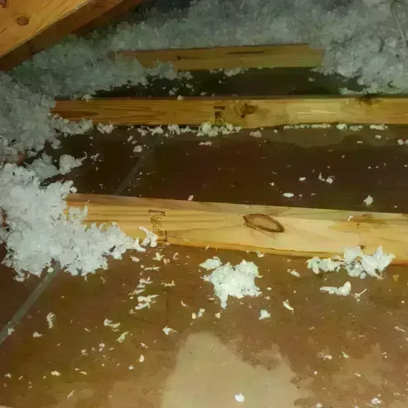 Attic Water Damage in Hermitage, PA