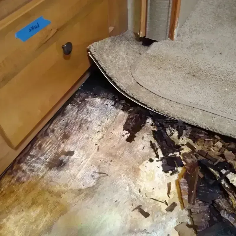 Best Wood Floor Water Damage Service in Hermitage, PA